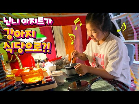 닌니 아지트가 강아지 식당으로 변신?! 온동네 강아지들 맛집이래요