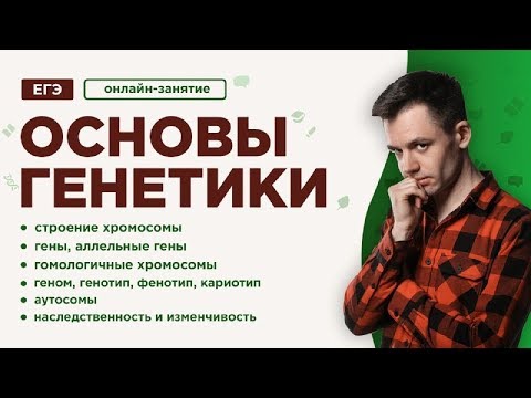 Основы генетики | ЕГЭ Биология | Даниил Дарвин