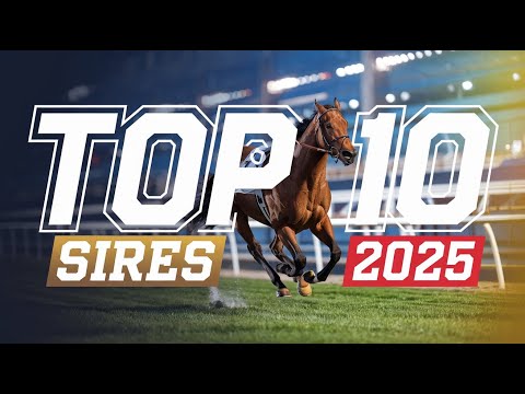 Top 10 Most Expensive Stallions of 2025 | Million-Dollar Bloodlines