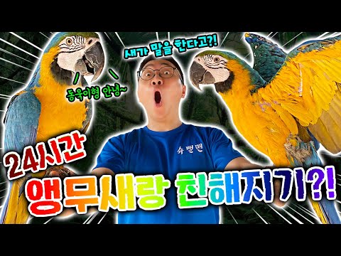 24시간 앵무새랑 친해지기?! 동욱이형만한 앵무새가 있다고?!