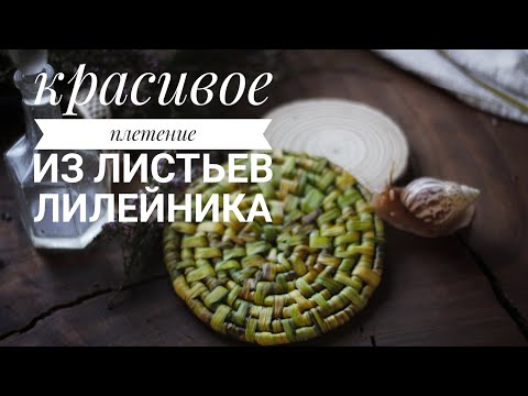 Листья садового лилейника - в дело! Красивое и очень простое плетение для начинающих👍