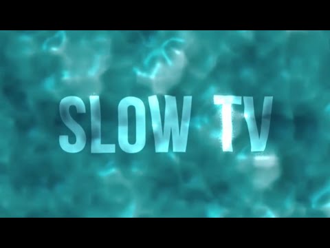 Slow TV Series 1 - Autumn Leaves in England (Stories)