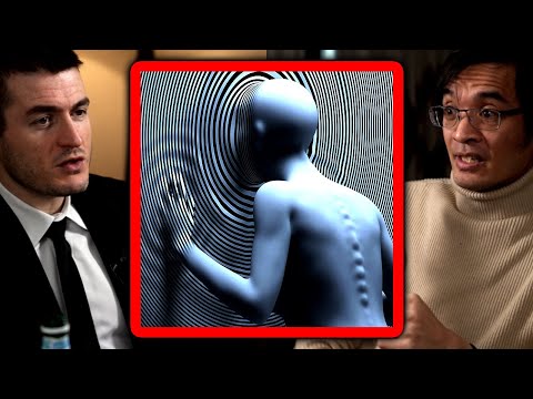 Is reality an illusion? | Terence Tao and Lex Fridman