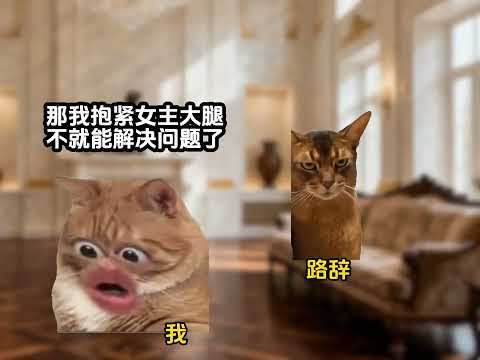 抱真于金大腿 成为家里团宠#搞笑  #猫meme #meme演绎 #猫meme小剧场 #猫meme日常 #小说