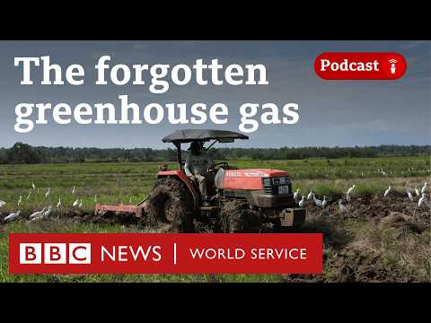 How do I get a green job? - The Climate Question podcast, BBC World Service