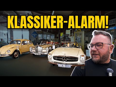 Frischer Nachschub auf dem Hof! Neuzugänge im Check