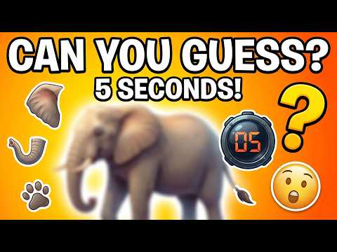 Guess These Animals Before Time Runs Out 🐾 | Kids Quiz