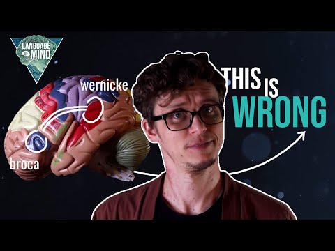 What textbooks get wrong about language and the brain