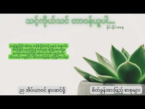 မိမိကိုယ်ကို တာဝန်ယူပါ - နိုင်းနိုင်းစနေ - စိတ်ခွန်အားဖြည့် စာစုများ
