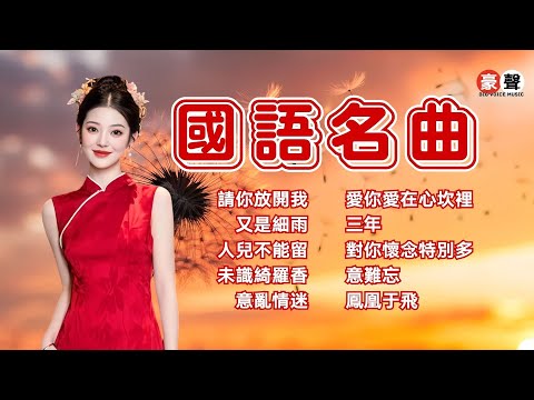 【國語名曲】請你放開我丨又是細雨丨人兒不能留丨未識綺羅香丨意亂情迷丨愛你愛在心坎裡丨三年丨對你懷念特別多丨意難忘丨鳳凰于飛 Mandarin Oldies(歌詞版)