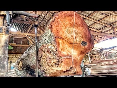Nature’s Masterpiece: Sawing a Rare and Beautiful Wood Piece 🌳