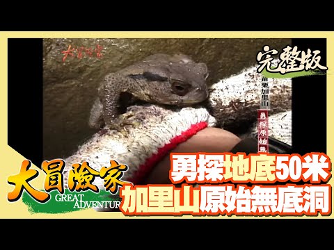 【大冒險家】勇士之地 加里山無底洞（日軍遺跡舊糖廠／一葉蘭／大坪月球石） │2002.08.19│ 138集完整版
