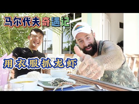 《环球探海记》马尔代夫 第7天:这里的鲸鲨实在是太调皮了,真是计划赶不上变化 #马尔代夫 #鲸鲨 #赶海 #旅拍 #龙虾 #旅行攻略