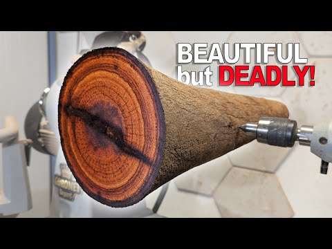 DEADLY to Turn, Stunning to See –Woodturning the Grass Tree Box Project