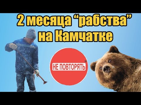 Вахта рыбообработчиком  на Камчатке на рыбной путине летом 2024 г.
