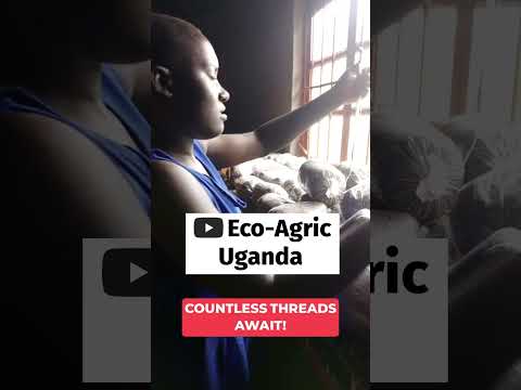 The Threads of Mushroom Cultivation #shorts