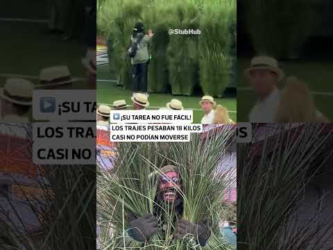 PERSONAS SE DISFRAZAN DE ARBUSTO DURANTE SHOW DE BAD BUNNY | Gestión