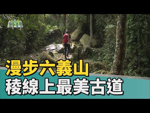 Walk!野行｜漫步六義山 稜線上最美古道