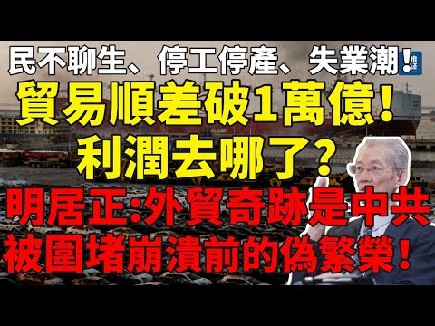 貿易順差破1萬億！民不聊生、停工停產、失業潮！利潤去哪了？明居正警告：外貿奇跡是中共被圍堵崩潰前的偽繁榮！#明居正#中国经济#贸易顺差#中共倾销#中國崩潰#民不聊生#國進民退#民生崩潰#出口危机#川普