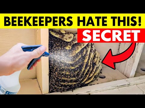 15 HIDDEN Anti Bee Tricks Beekeepers Don't Want You to Know!