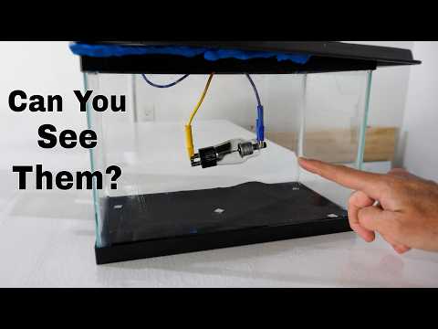 Can You See X-Rays In a Cloud Chamber?