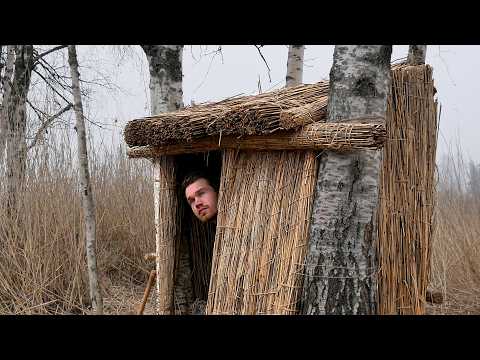 I Built a Survival Shelter Using Only Reeds – Bushcraft in Wetlands