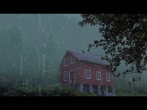 RAIN SOUND TO SLEEP AND RELAX 5 MINUTES, 1 HOUR
