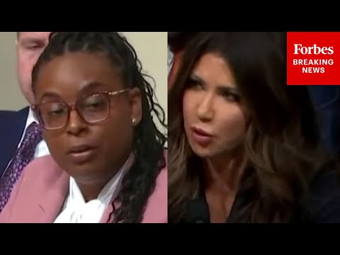 'You Would Have Heard Me If You Had Stopped Talking!': McIver Laces Into Kristi Noem During Hearing