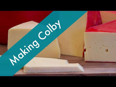 How to Make COLBY Cheese at Home from Scratch