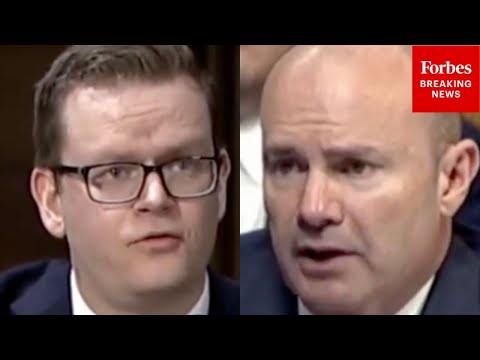 'Who Might Be Affected?': Lee Asks Lawyer About 'Lenient' Sentence For Attempted Kavanaugh Assassin