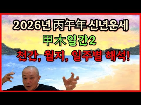 2026년 丙午年 신년운세 甲木일간2 천간, 월지, 일주별 해석!