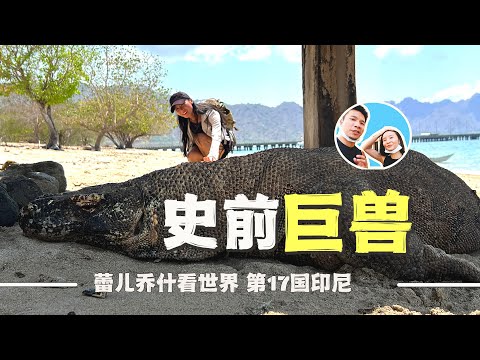 探访印尼史前巨兽科莫多巨蜥，一路经历刷新认知｜百国旅行第17国-印尼（6）