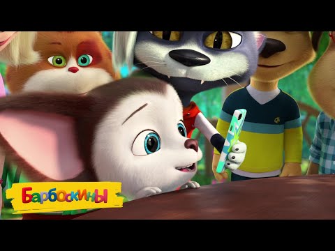 Барбоскины | Шоколадные конфеты 🍬🍬🍬 Сборник мультиков для детей