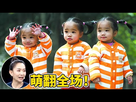 女子刚生下三胞胎丈夫去世,姐姐为帮妹妹养孩子终生不生,三姐妹一登台萌翻全场【王芳王为念访谈】