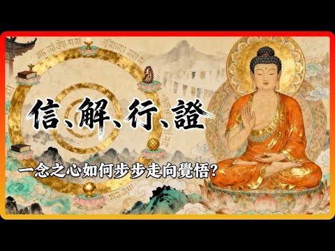 深入解析信解行證四階段：一念之心如何步步走向覺悟？#佛教故事 #佛法 #修行 #開悟