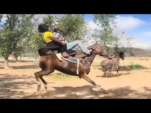 Riding a horse with a kid… and the unexpected ending! 👶🐎 🤣 Funniest Horse Video 2025 😂🐴