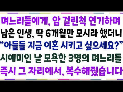 딱 6개월만 모셔달라 했더니, 4명의 오만한 며느리가 거절! 비밀 유언장이 공개되자, 그들은 무릎 꿇고 후회했다!
