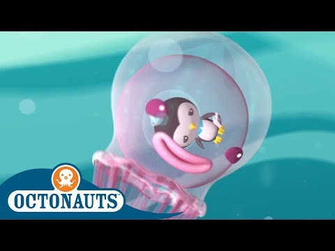 #StayHome Octonauts - A Sticky Situation | Full Episodes | Cartoons for Kids