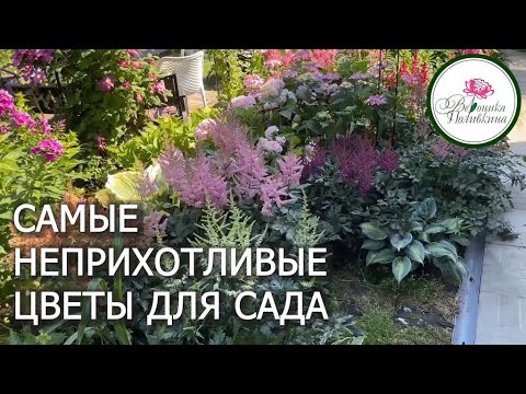 Самые неприхотливые садовые цветы