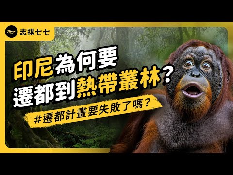 雅加達要沉了！印尼政府決定搬家到熱帶叢林？！努山塔拉到底有何魅力？｜志祺七七