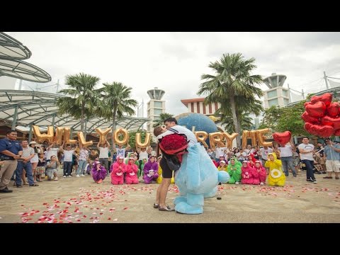 THE CAREBEAR PROPOSAL - Public Flash Mob Proposal Singapore - Andrew & Anna (Link in description)