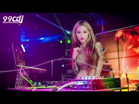 99CDJ Remix 2k25 『 封心的雪 ✘ 曾经相爱 ✘ 多情的人总被无情的伤 ✘ 别说我的眼泪你无所谓 ✘ 秋风吹起 ✘ 前世融不化的雪 ✘ 不想看见你哭 ✘ 一身傲骨不低头 ✘ 花无声 』