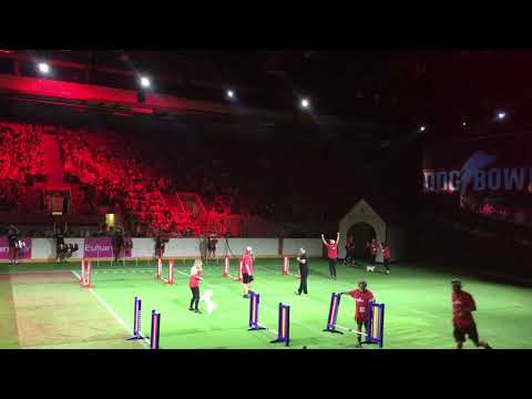 Dog bowl at Calgary Stampede 2019