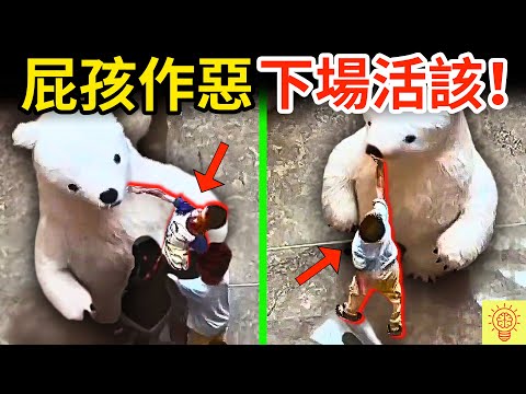中國屁孩霸凌人偶熊，下一秒當場被報復！下場超活該！