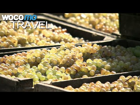 Georgien, die Wiege des Weins (360° - GEO Reportage)