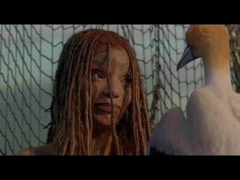 Drinker's Chasers - The Little Mermaid: A Worldwide Flop