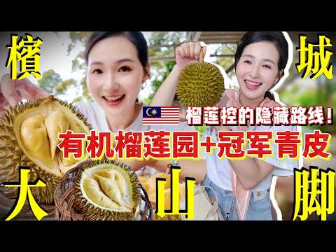 Hidden Durian Orchard on Penang Hill! Monkeys on the Way & Taste the Champion Durian