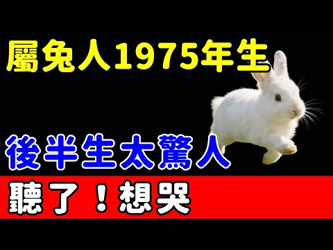 屬兔人，1975年乙卯年生，後半生太驚人！聽了！想哭！【悟者思維】#生肖 #運勢 #命理 #屬相 #風水 #財運 #佛陀 #佛學 #佛法 #佛教 #修行