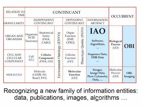 Introduction to Basic Formal Ontology (2015): Part One