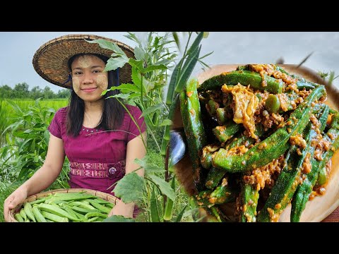 ရုံးပတီသီးခူးပြီး ဟင်းချက်စားမယ် ထမင်းမြိန်မယ်😋🥰